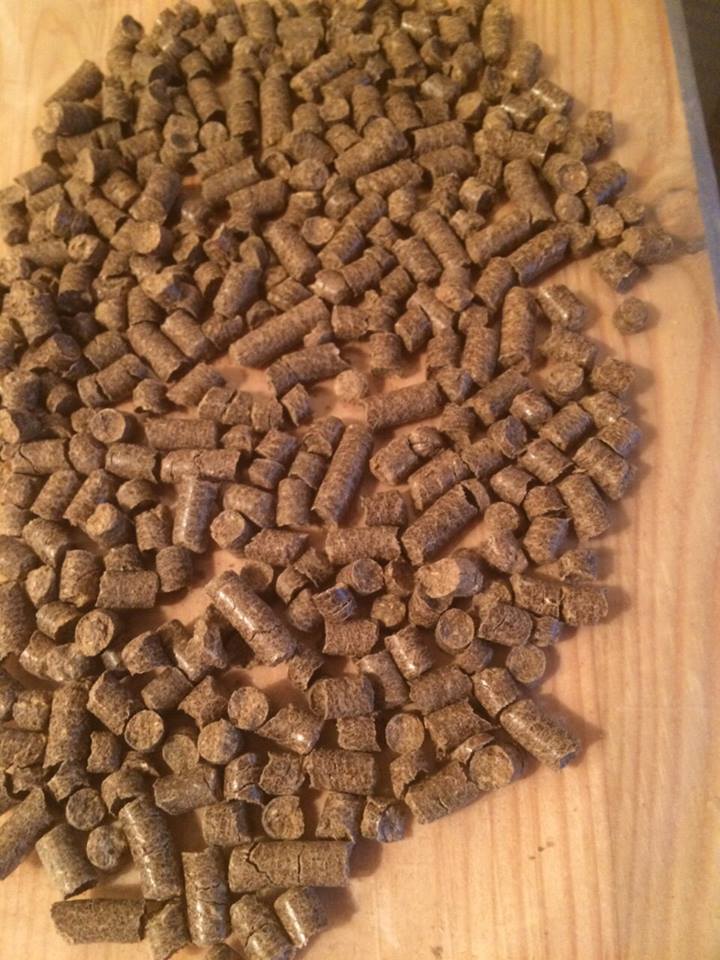ForumEA/E/pellet rovere.jpg